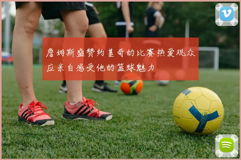 詹姆斯盛赞约基奇的比赛热爱观众应亲自感受他的篮球魅力