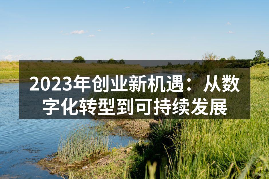 2023年创业新机遇：从数字化转型到可持续发展